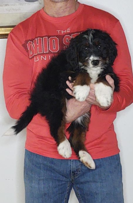 Buckeye