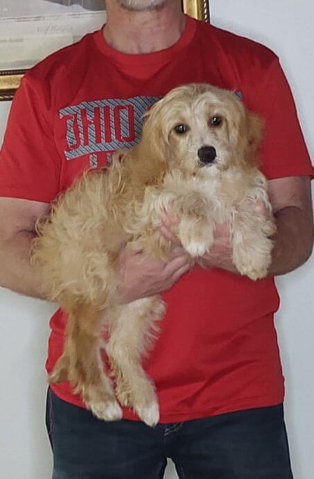 Benji