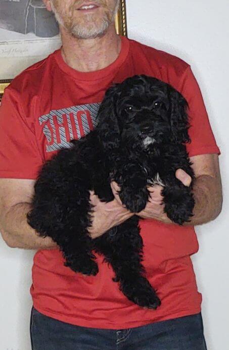 Bentley