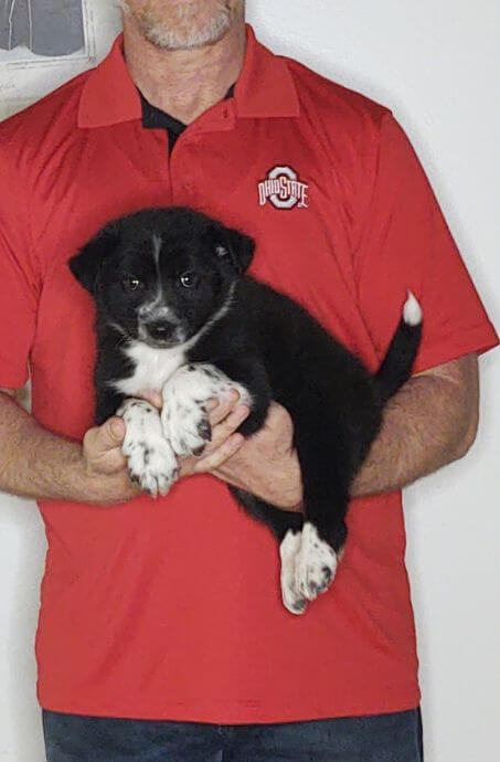 Clyde