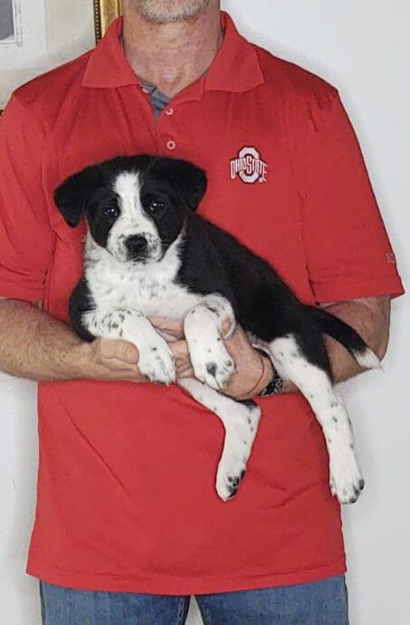 Max