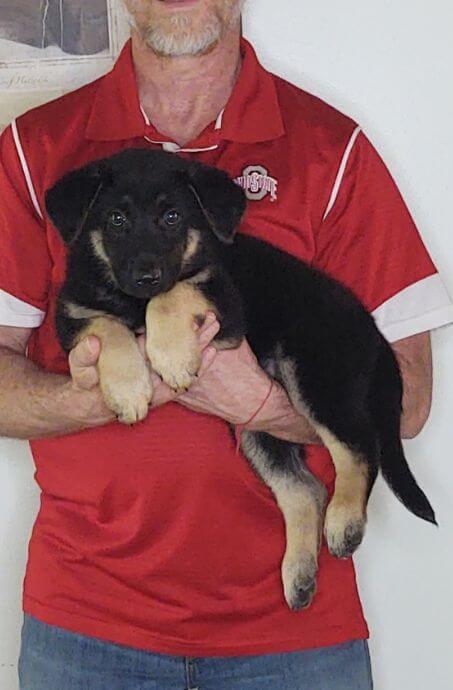 Thor