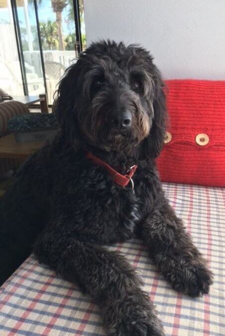 Max – Another H2E Alumni Success Story