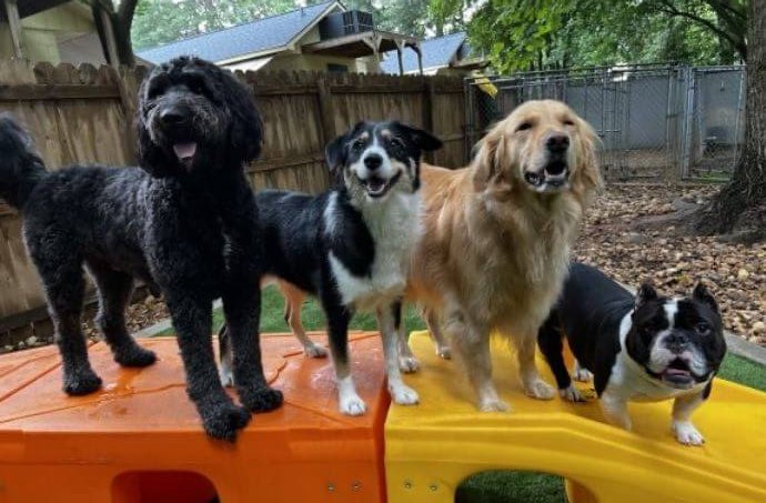 Max and his buddies