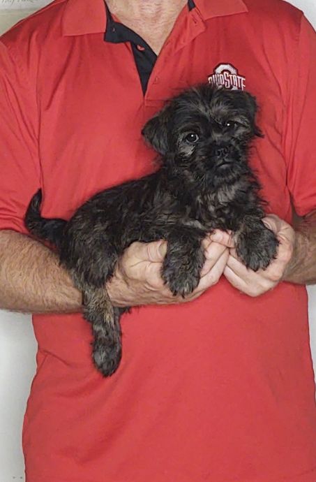 Annie