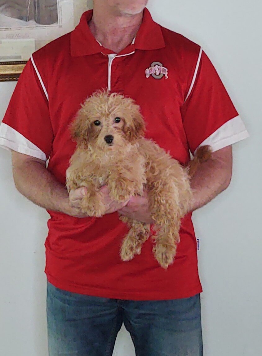 Buckeye