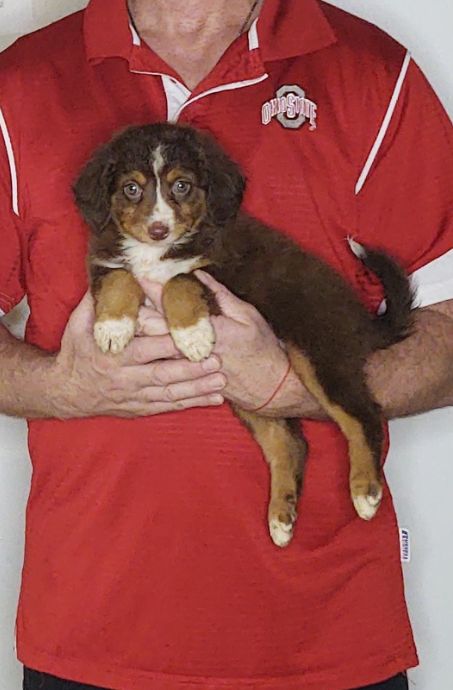 Coco