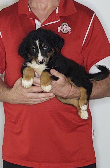 Cooper