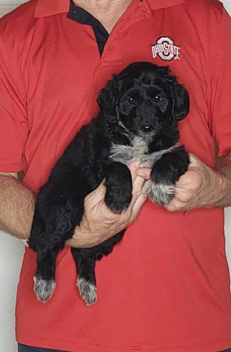 Delila