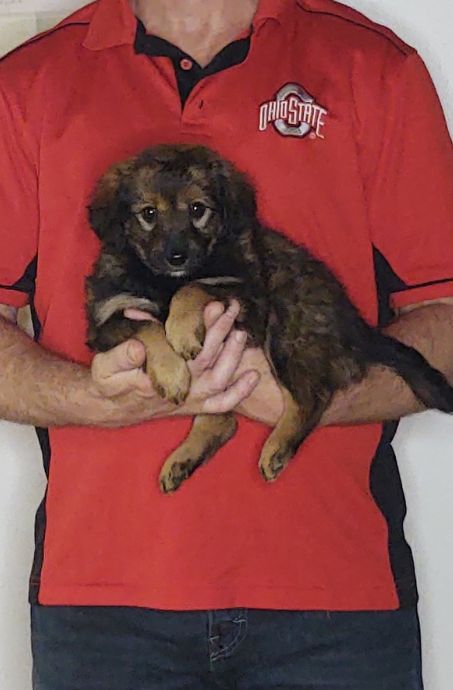 Gabby