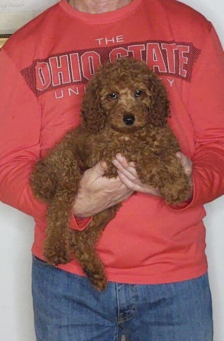 Lola
