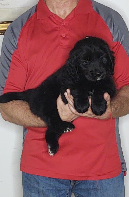 Baxter