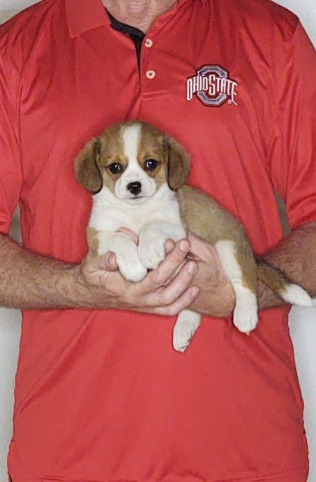 Benji1082725