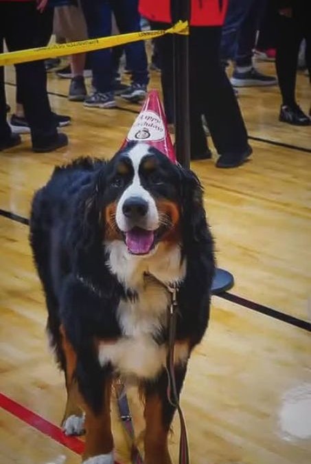 Murphy – Another H2E Alumni Success Story