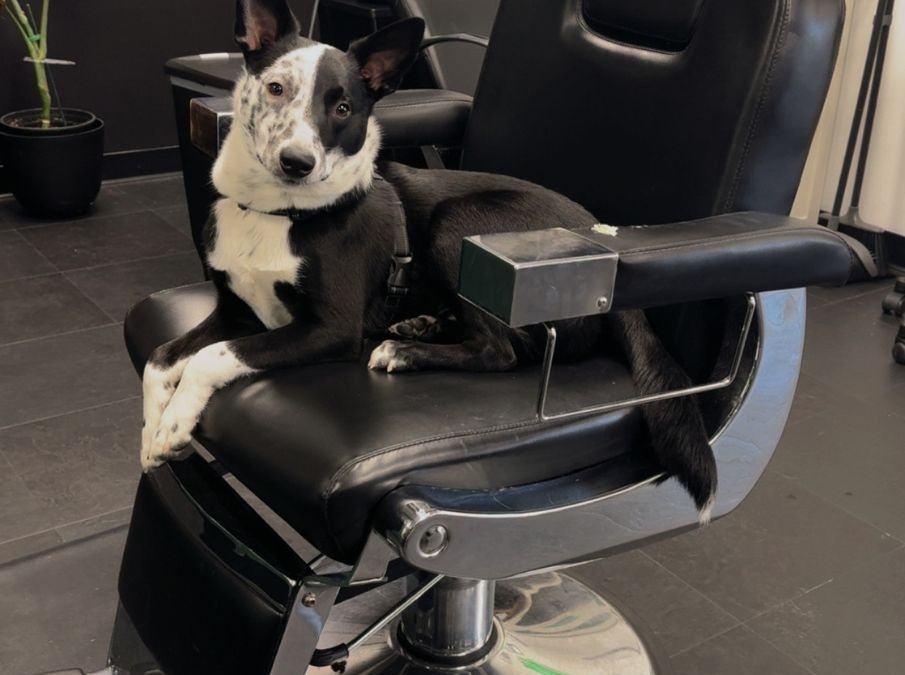 Phil – Another H2E Alumni Success Story