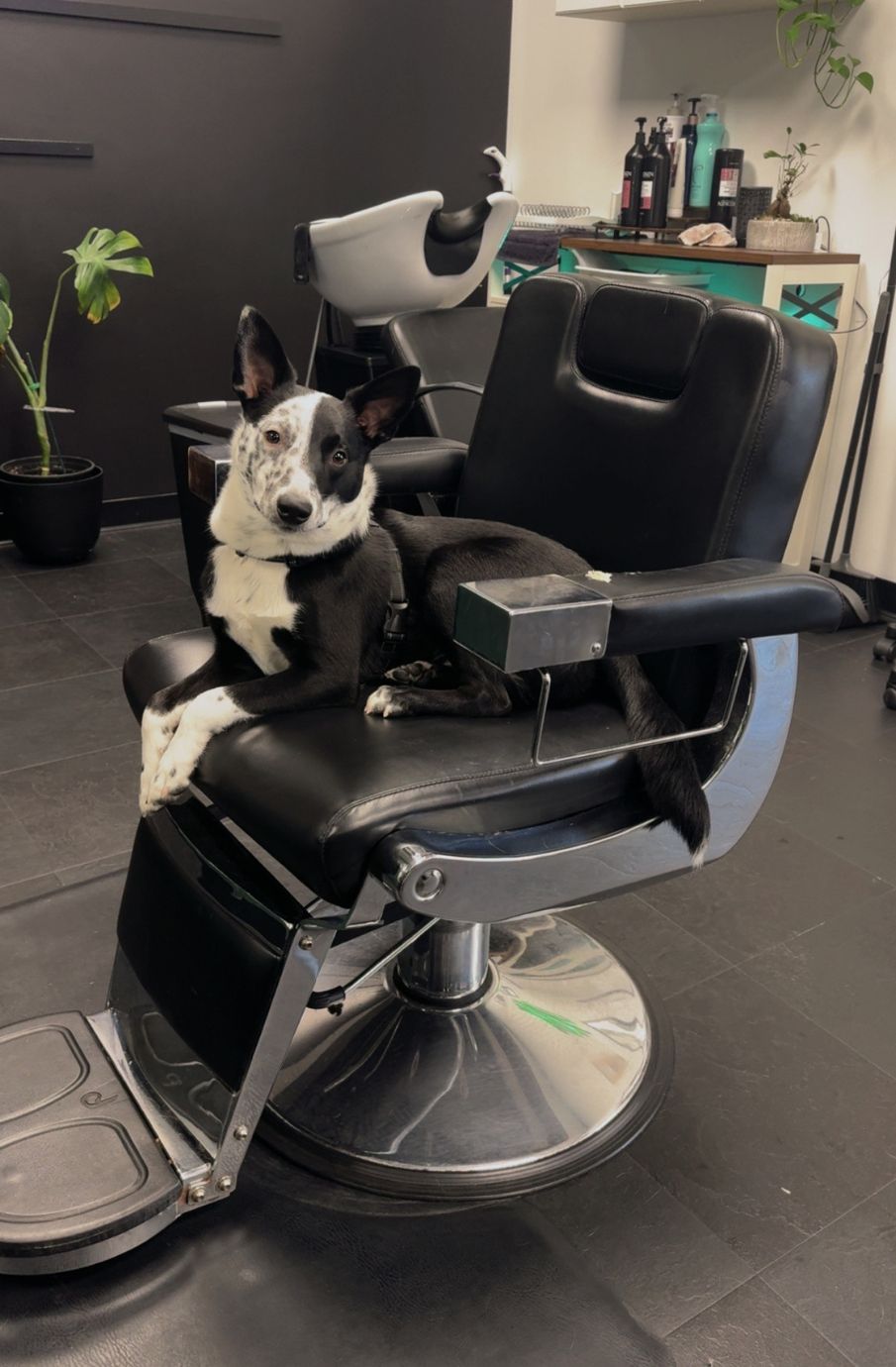 Phil – Another H2E Alumni Success Story